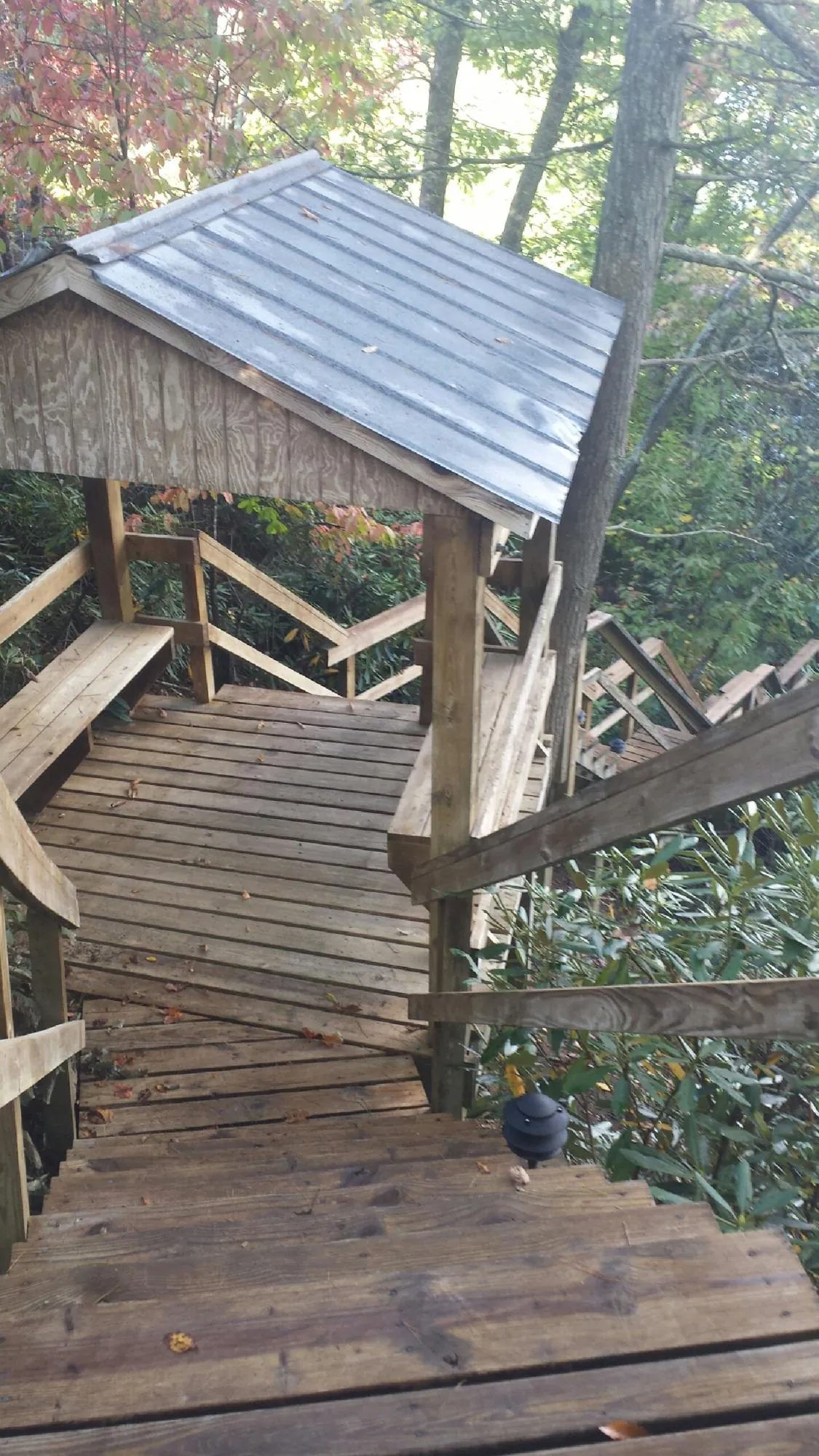 Metal roofed shelter over wooden steps on a wooded walkway — Skylight Repair & Installation work by our crew in Evadale