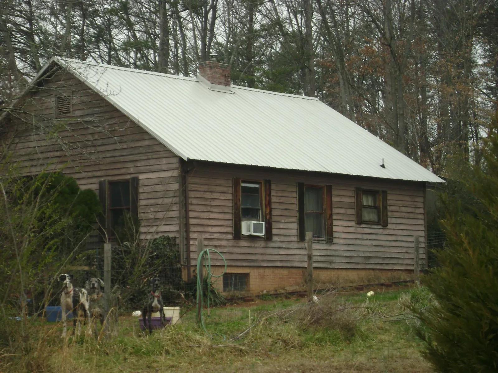 White metal roof on an old wood sided farmhouse, from a Asphalt Shingle Roof Repair job in Evadale